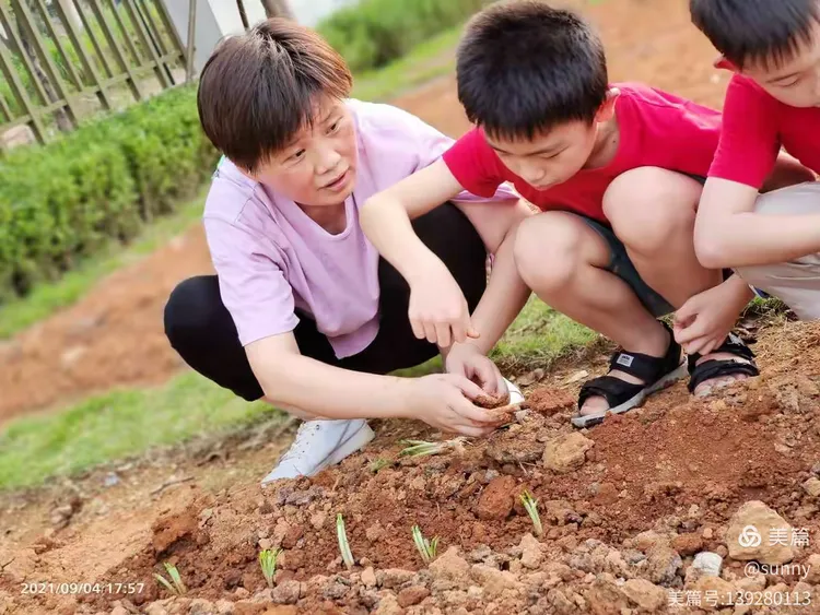 播种希望,收获成长